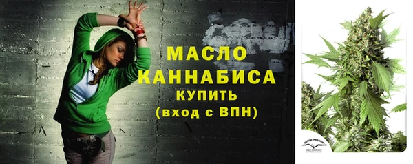 шишки Заволжск