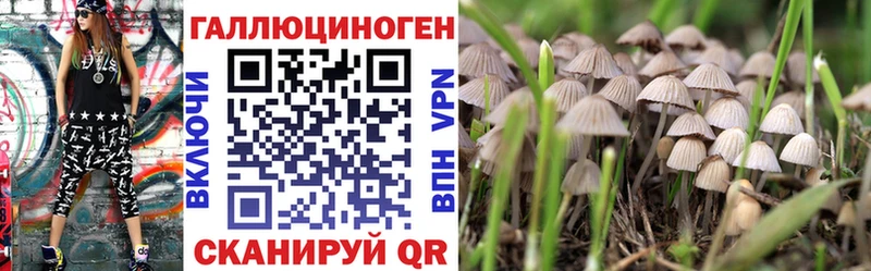 Галлюциногенные грибы ЛСД  блэк спрут маркетплейс  Зерноград  как найти наркотики 