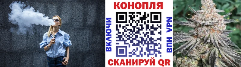 что такое   Зерноград  Каннабис сатива 
